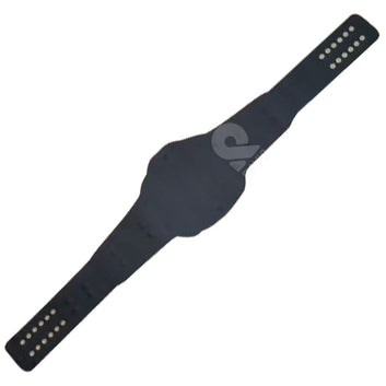 Wrestling Championship Belt