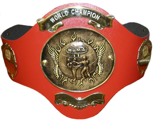 Wrestling Championship Belt
