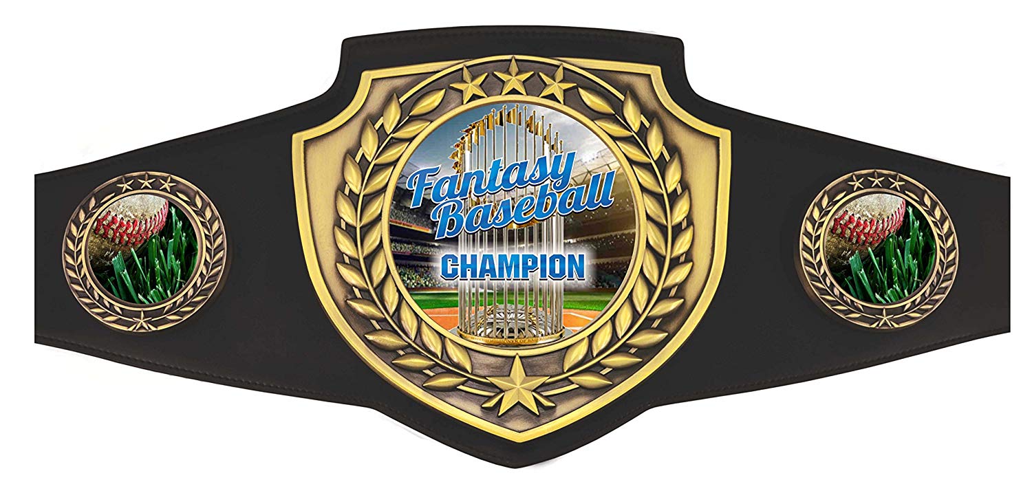 Wrestling Championship Belt