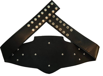 Wrestling Championship Belt